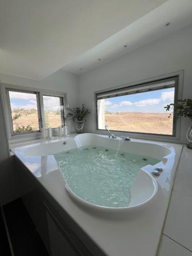 Arad Villa | " ARADA " Luxury House