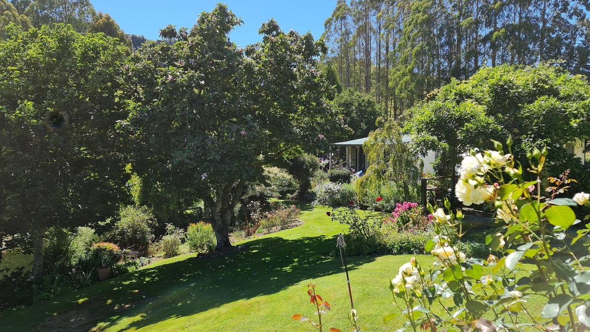 Aria Apartment | Aramatai Gardens BnB - immerse yourself in nature
