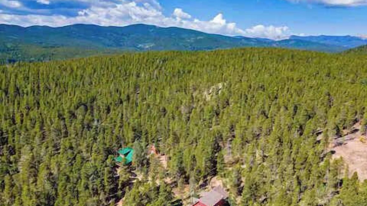 Black Hawk Cabin | Arapaho Forest Lodge | Hot Tub, Game Room, Hiking