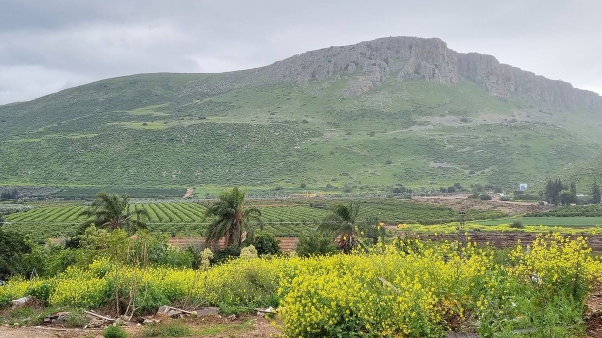 Migdal House | Arbel House Apartment