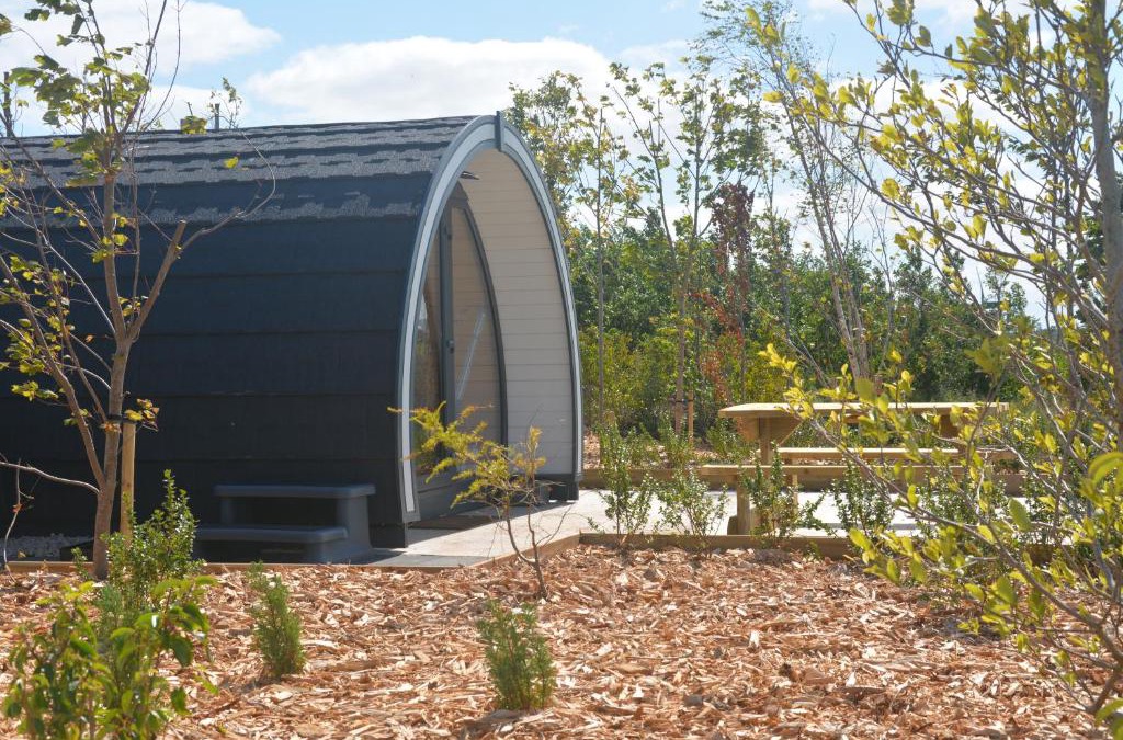 Carrickfergus Cabin | Arbor Hills