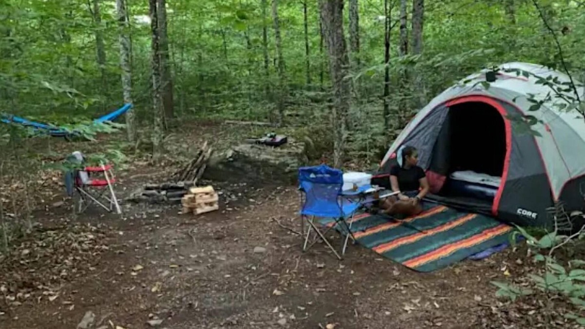 Harris RV Rental | Arcabuco -upper camp Taino Woods, 15 minutes to Bethel Woods Concerts, Casino,