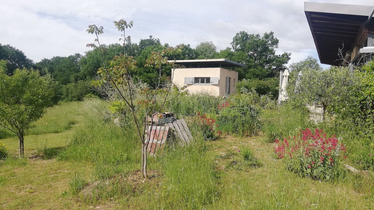 Fons-sur-Lussan Cottage | Architect cottage in the garrigue