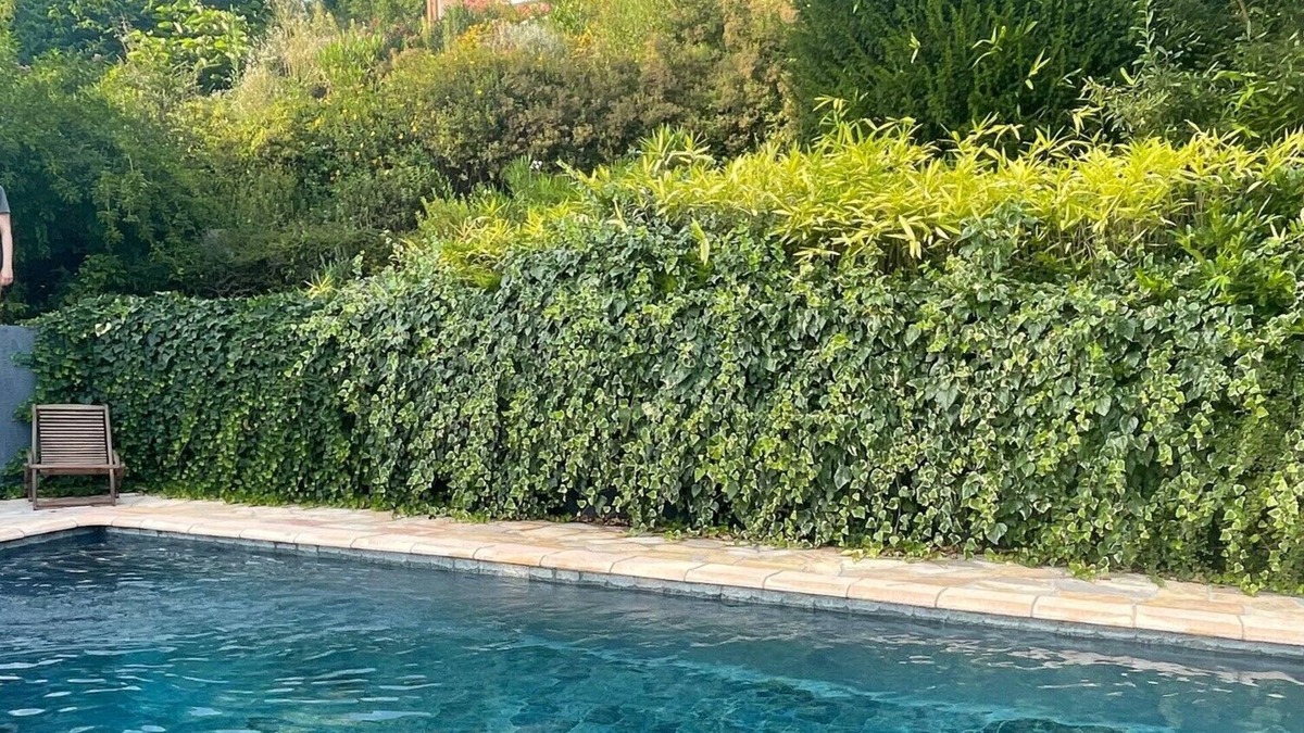 Chavornay Villa | ARCHITECT DESIGNED HOME WITH STUNNING PANORAMIC VIEW AND SWIMMING POOL