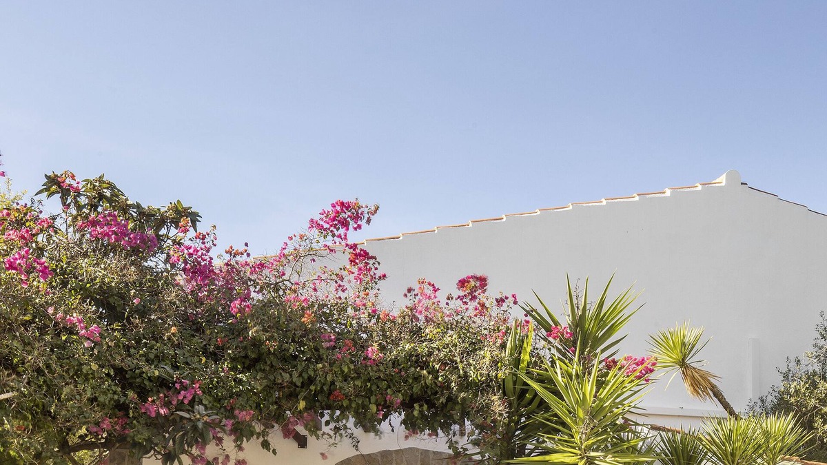Santo Estevao House | Architectural gem in the Algarve countryside!