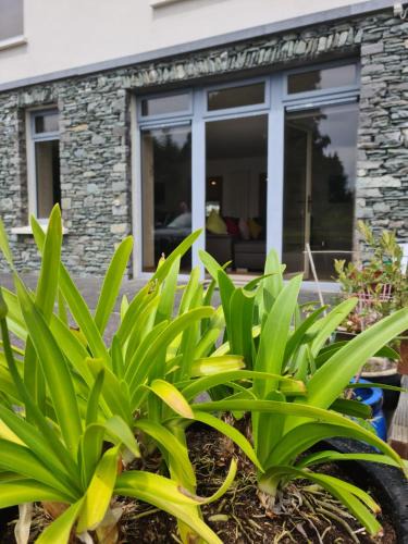 Killarney Apartment | Ard Kielin Apartment Luxury 2 bedroom in Killarney