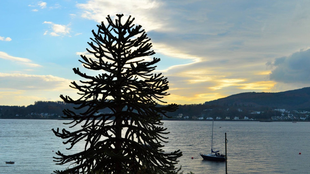 Kilmun House | Ardmun House - waterfront villa that sleeps 6 guests in 4 bedrooms