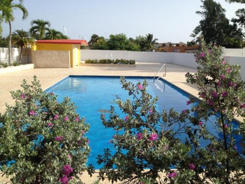 Arecibo Hotel | Arecibo Inn