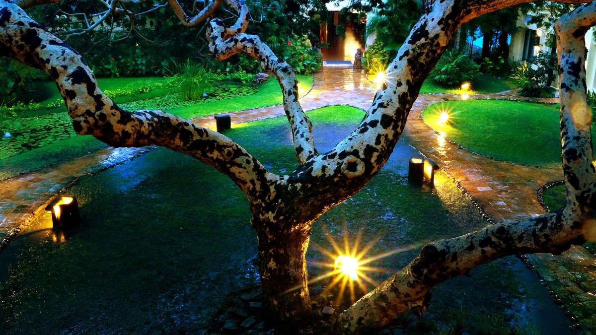 New Bagan Hotel | Areindmar Hotel