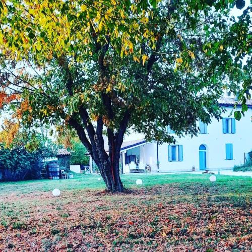 Calderara di Reno Bed & Breakfast | Armonie di Campagna Rooms & Breakfast di Valentini Sabina