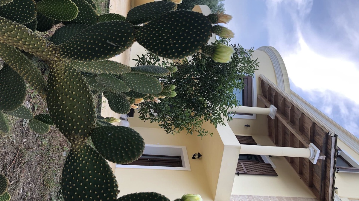 Liapades House | AROMIA CORFU IN CORFU The apartment is located in a villa in the area of Paliο