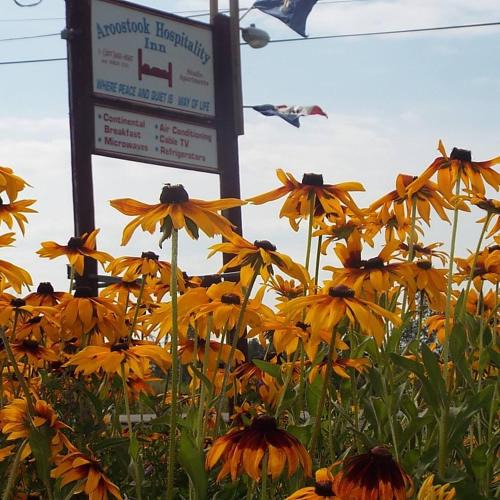 Washburn Hotel | Aroostook Hospitality Inn - Washburn
