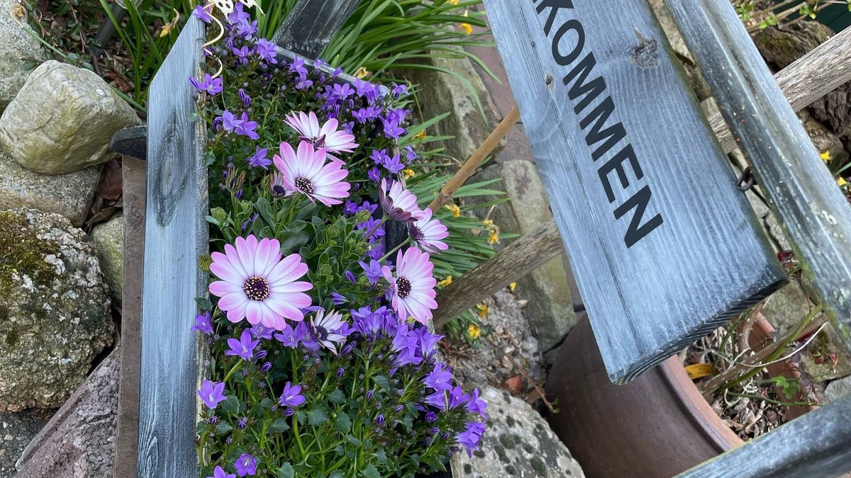 Bokelerburg Apartment | ARRIVE AND FEEL GOOD