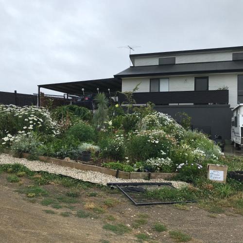 Huonville Bed & Breakfast | Art House