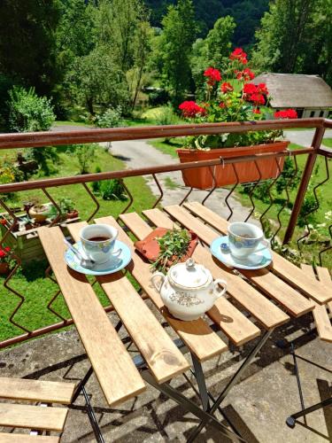 Bistrica ob Sotli Apartment | Art house Tufi