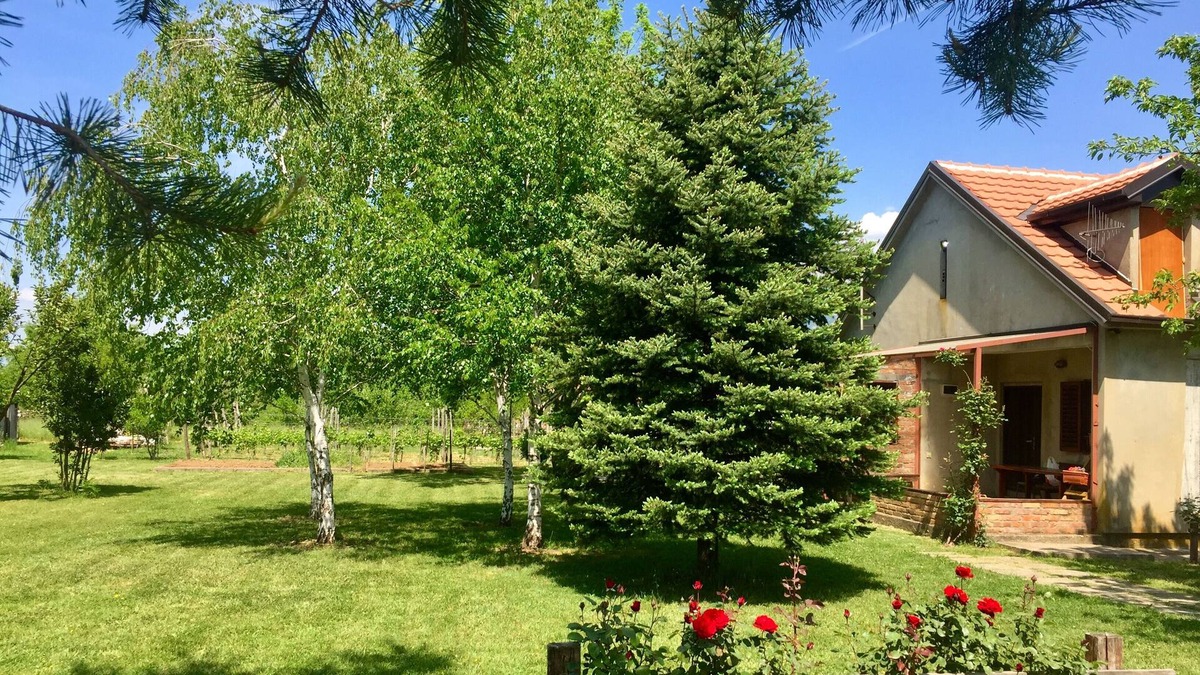 Pricelje House | Artist ranch with vineyard, piano, kayak, bicycles and beautiful garden.