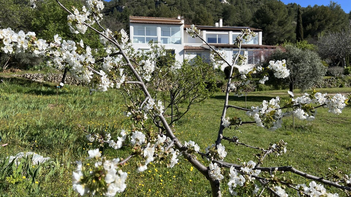 Roquevaire Villa | artist's house, exceptional place, where nature and serenity reign.