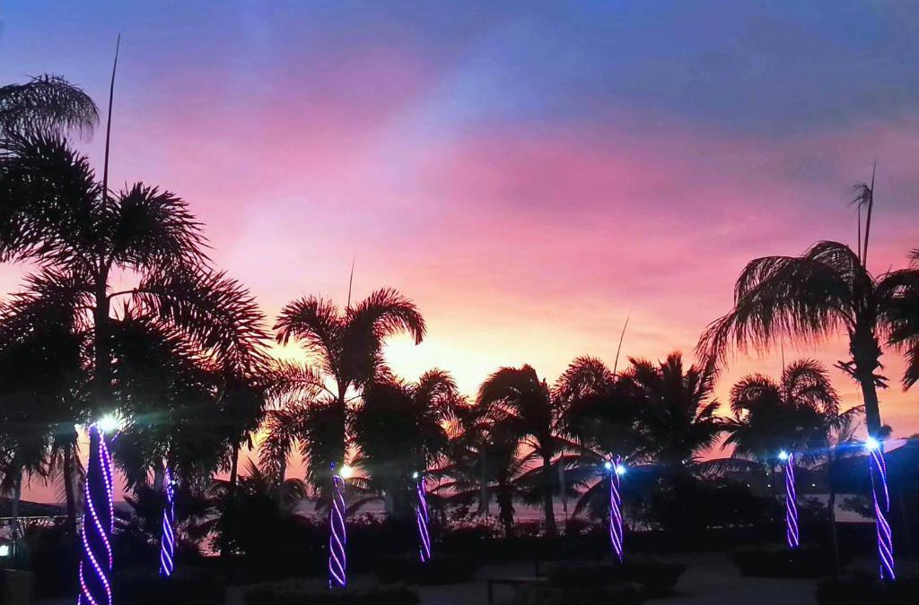 Oranjestad Hotel | Aruba Surfside Marina