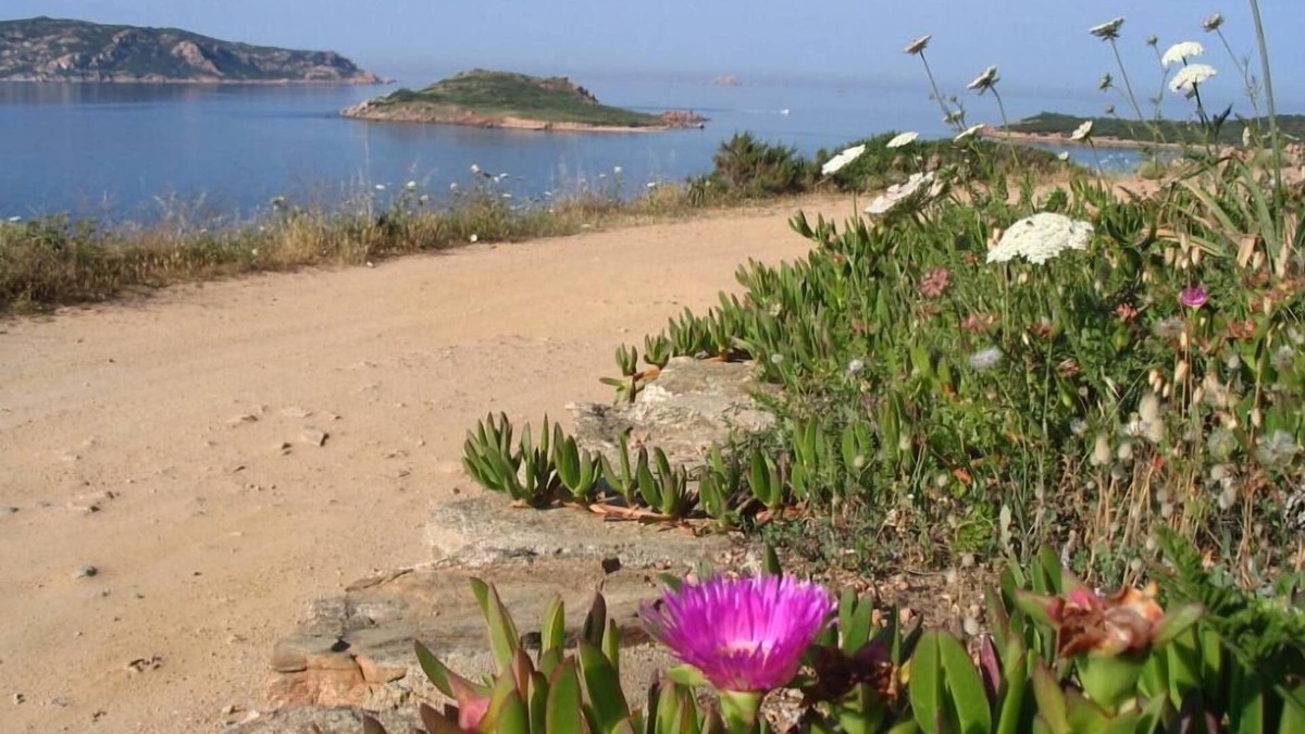 Monte Petrosu Apartment | Asfoldelia: holiday, sea and relax in elegant apartment