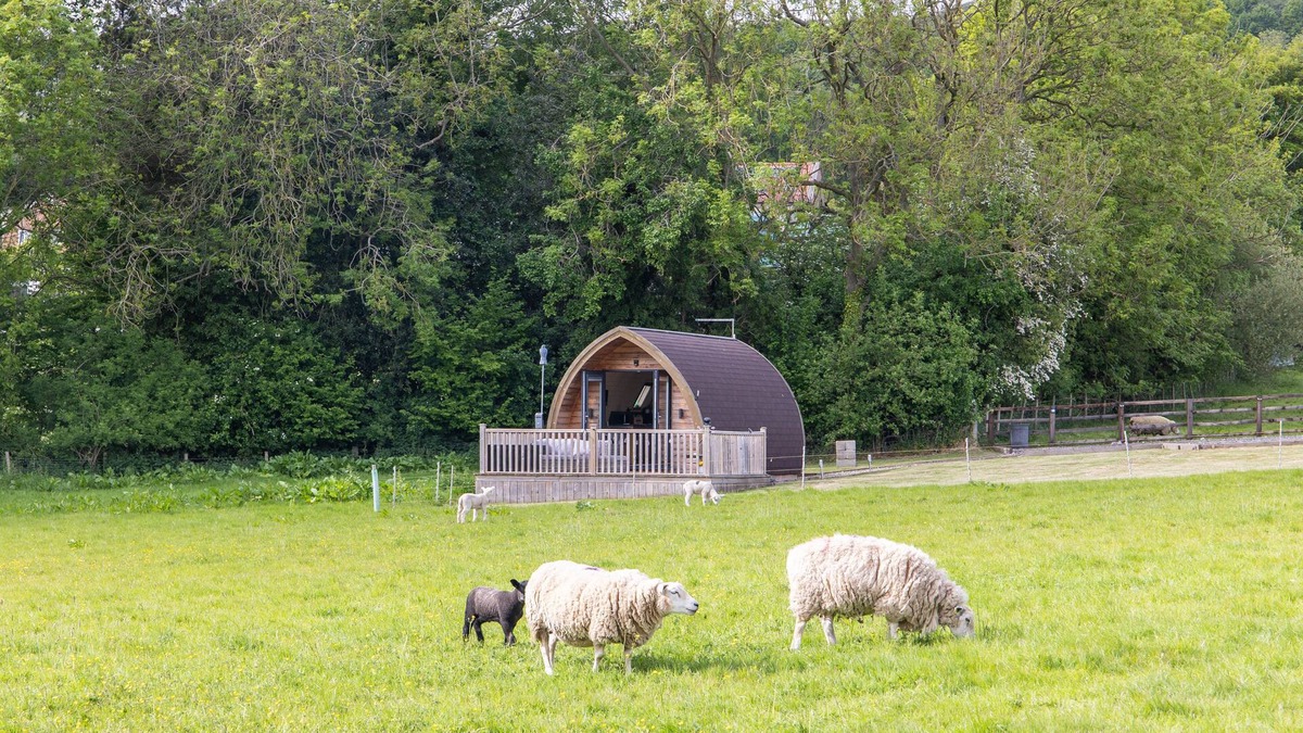 Ampleforth Cottage | Ashberry Glamping Pod - sleeps 2