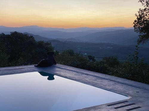 Hazyview Bed & Breakfast | Ashbourne Country Escape Hazyview