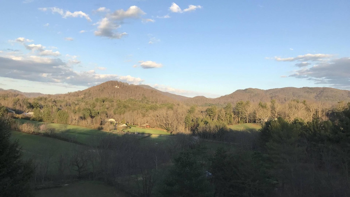 Fairview Apartment | Asheville's Rural Masterpiece, Private, Mountain Views Pet Friendly