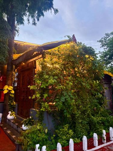 Vaduj Villa | Ashoka