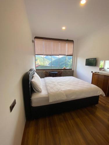 Arakli Bed & Breakfast | ASİL 101 Karadeniz kuş cenneti