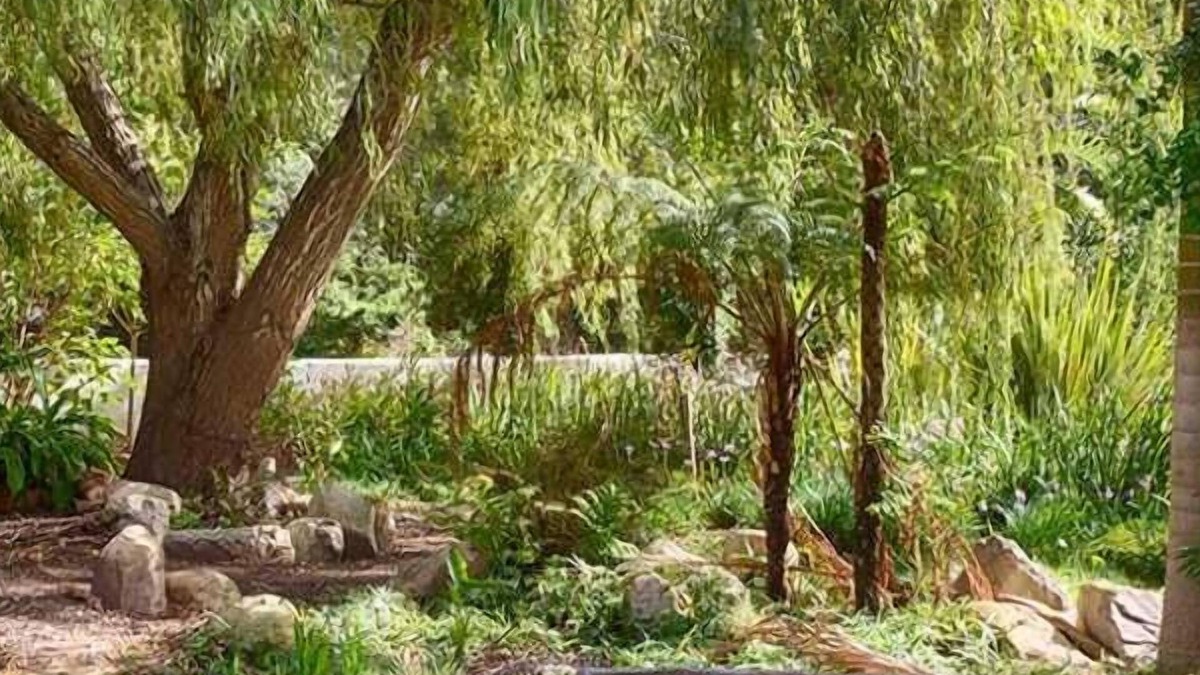 Kareedouw House | Assegaaibosch Country Lodge
