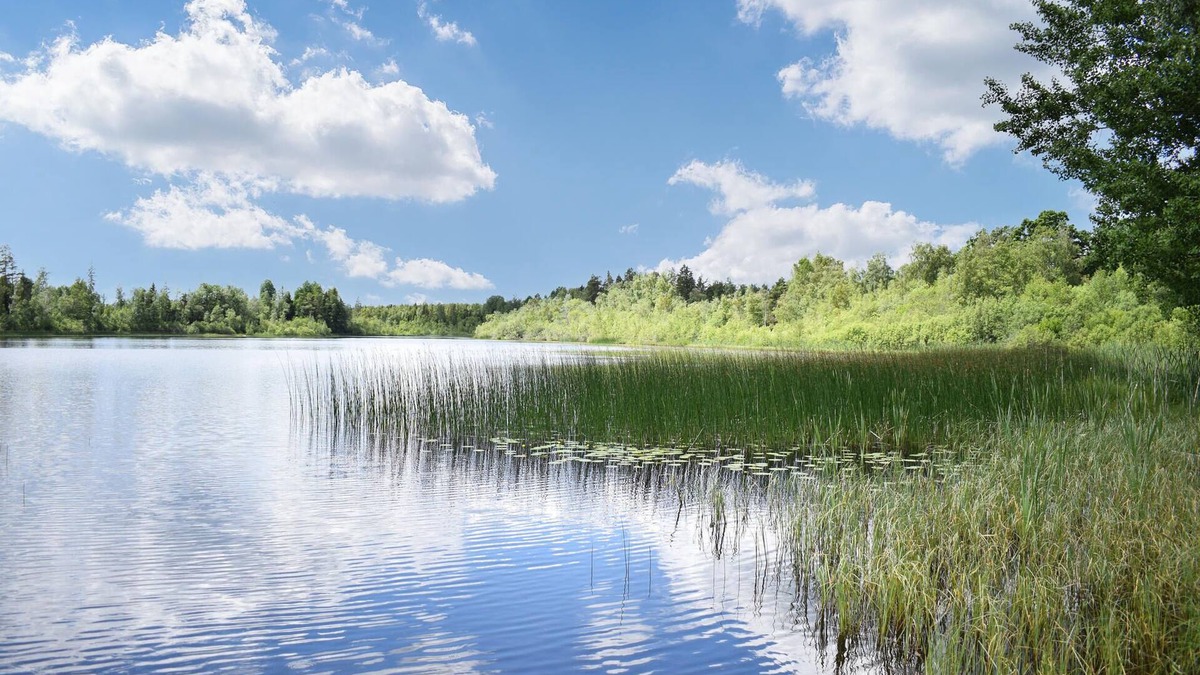 Vimmerby House | Astrid Lindgren House with a large garden right by the lake.