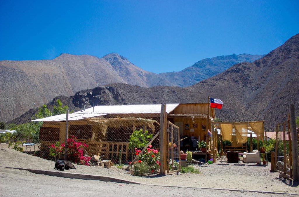Vicuna Other | Astro Camping Elqui Experience