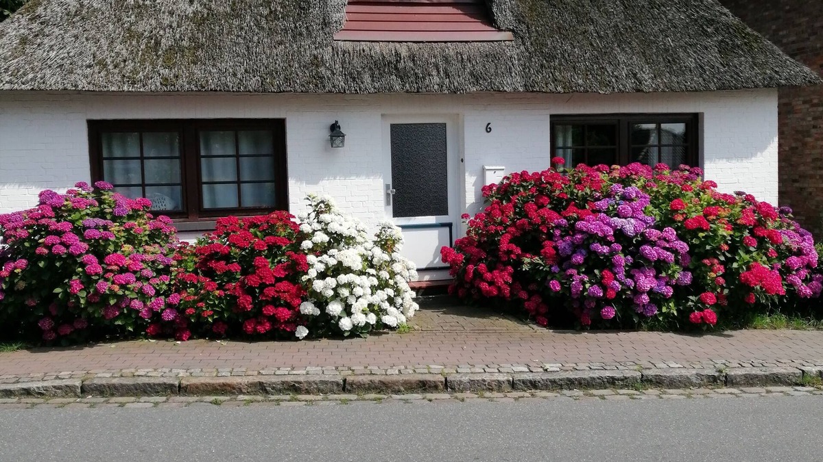 Schwabstedt House | At home between the seas - artist couple rents out their summer house.