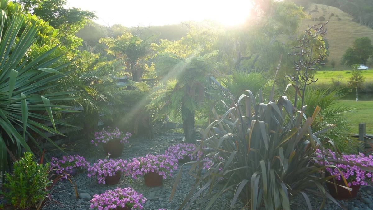 Whitianga Bed & Breakfast | At Parkland Place