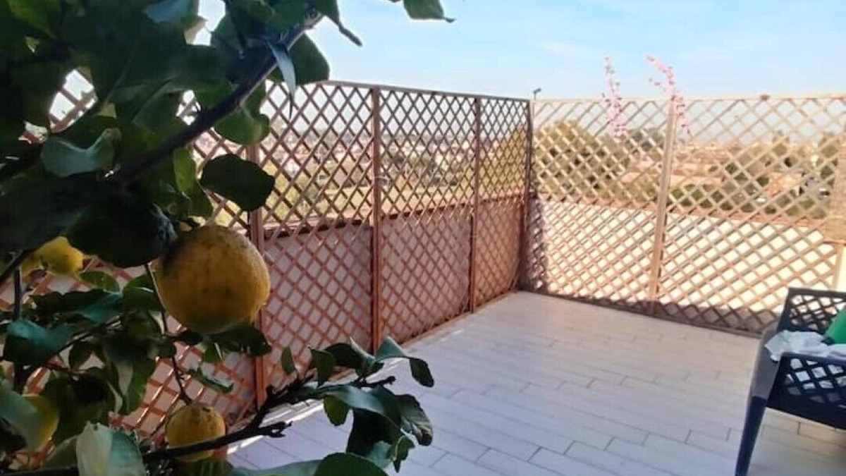 Zona XXXIV Casal Palocco Apartment | At Rossana's House