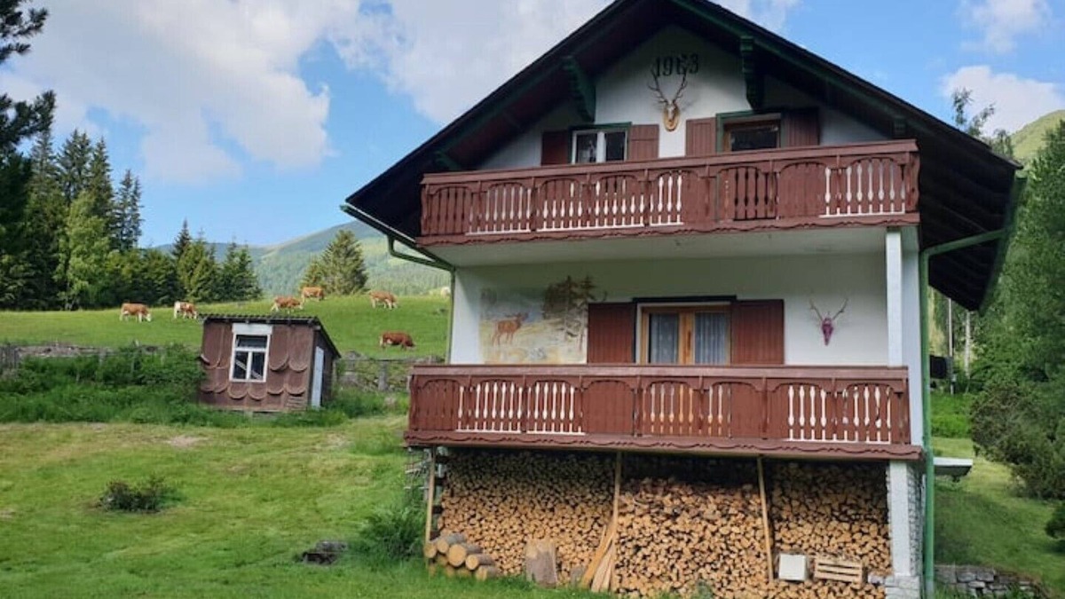 Sankt Johann am Tauern Apartment | Holiday house - Gamskogelblick - like on the Alm, quiet location