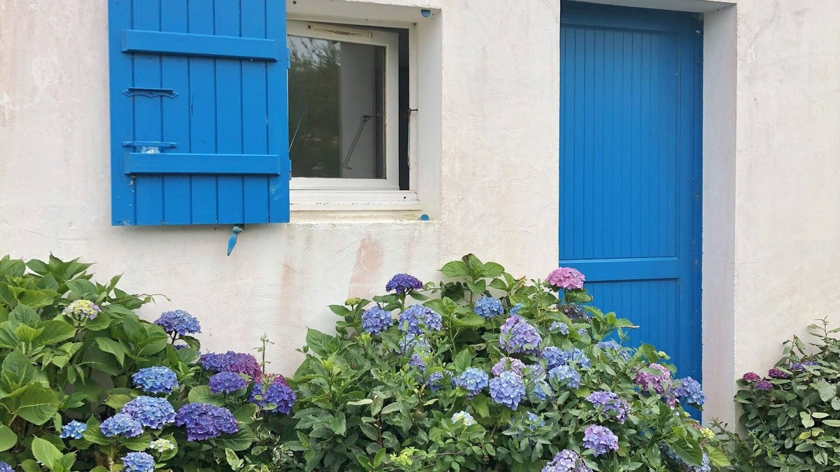 Barbatre House | At the foot of the dunes and the beach! Ideal for a quiet place