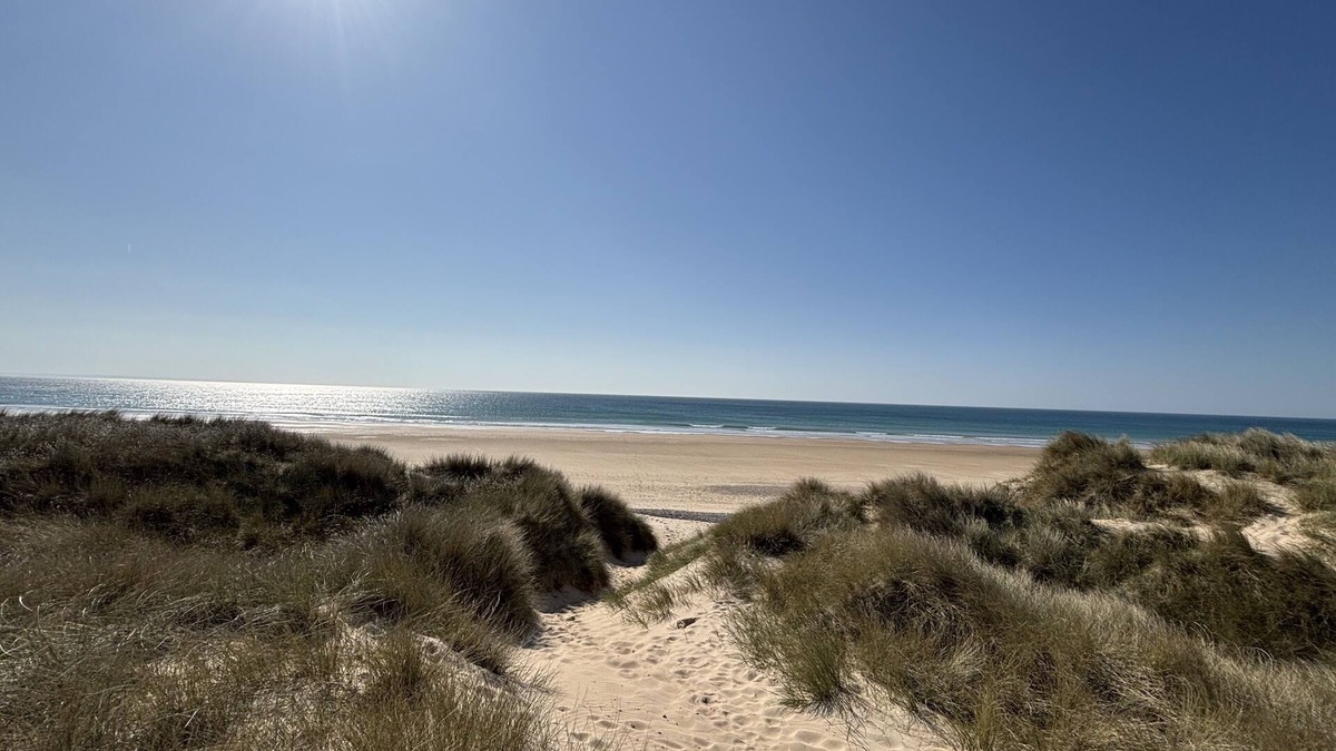 Surtainville Cottage | At the foot of the dunes 4-person seaside gîte