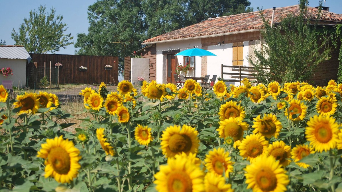 Le Cause House | At the gateway to the Gers, Eden Farm's air-conditioned gîte