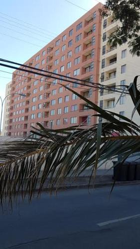 Copiapo Apartment | Atacama Valley 3