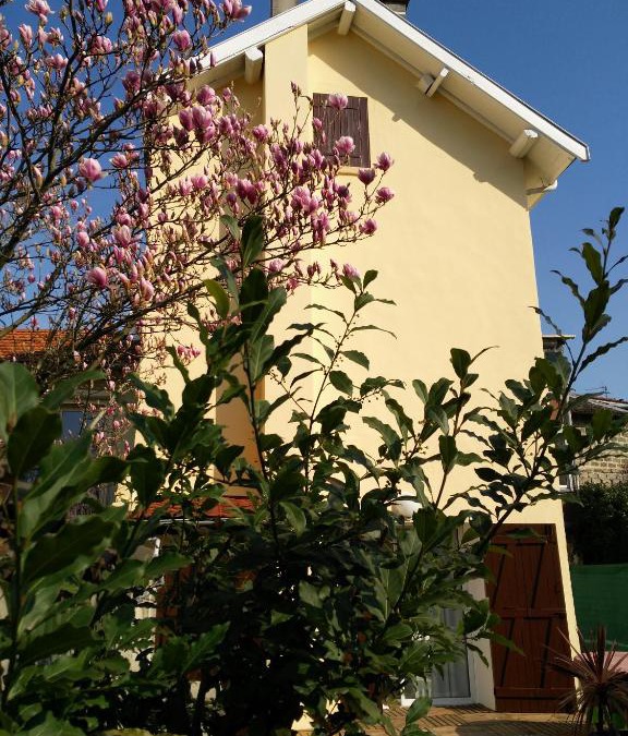 Bourgoin-Jallieu House | Atelier Liberation