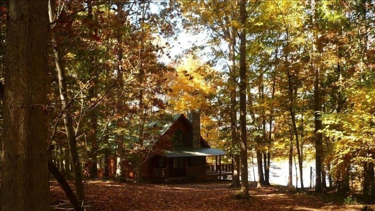 Nicholson Cabin | Athens Log Cabin Getaway -Private Lake, Campfire, Serenity