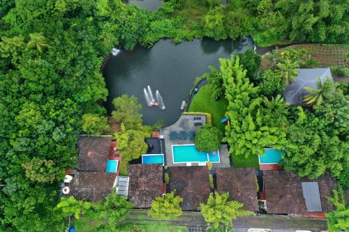 Athirapally Resort | Athirapally Green Trees