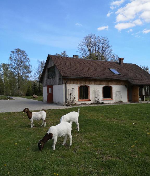 Mikeltornis House | Atpūtas Vieta Raudiņi