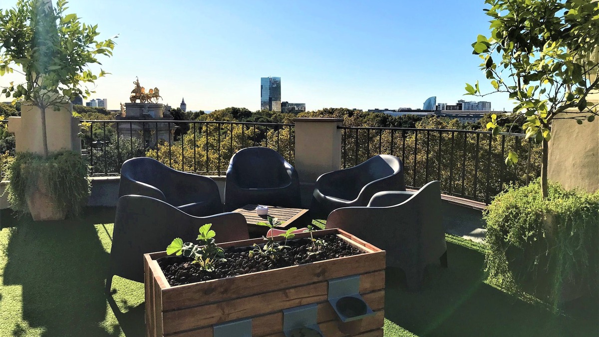 Sant Marti Apartment | ATTIC LOST GARDEN - Fantastic shared terrace