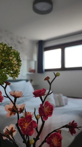 Terminillo Apartment | Attico Stella Alpina