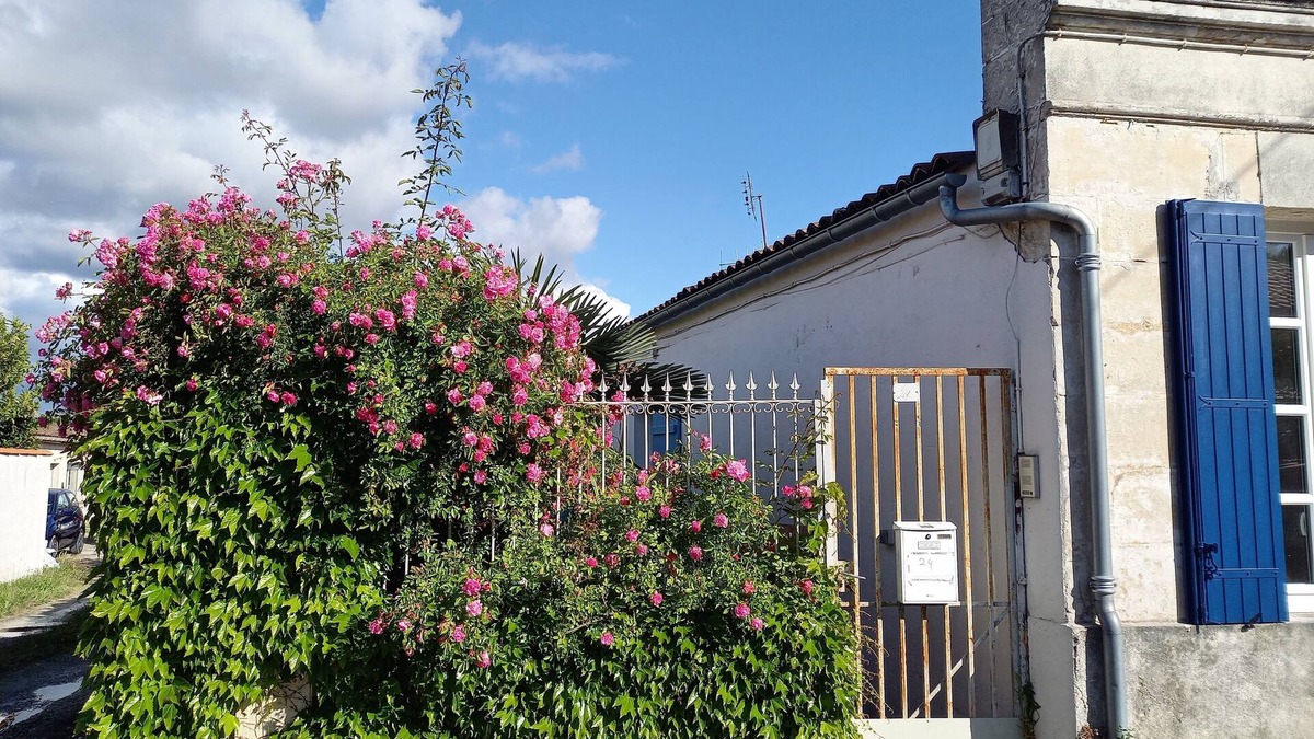 Rochefort Apartment | Attractive new 30m2 T2 apartment, close to amenities, town center and spa.