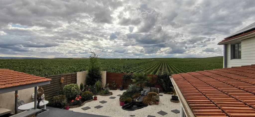 Bouzy Bed & Breakfast | Au Bouchon Champenois