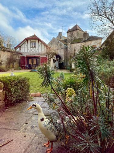Fontaine-Francaise House | Au cœur de Fontaine