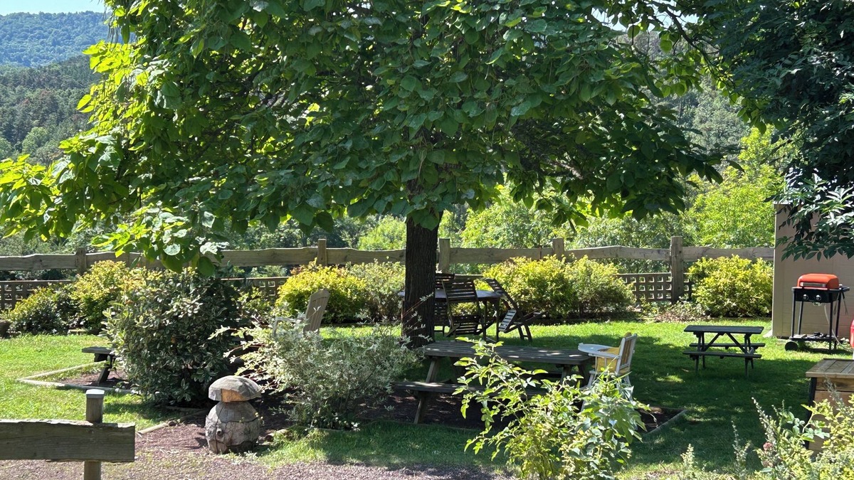 Saint-Nectaire Apartment | Au Coeur des Volcans, appartement lumineux et spacieux