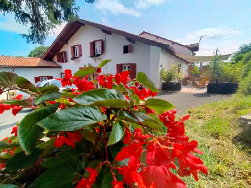 Helette House | Au coeur du Pays Basque entre Mer et Montagne